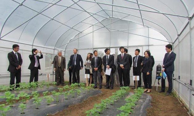 Провинция Ханам развивает высокотехнологичное сельское хозяйство