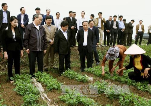 Глава ОФВ Нгуен Тхиен Нян побывал в провинции Винфук с рабочим визитом