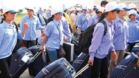 Профсоюзы Вьетнама защищают права своих членов, работающих за границей