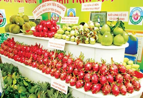 Расширение рынка экспорта овощей и фруктов Вьетнама