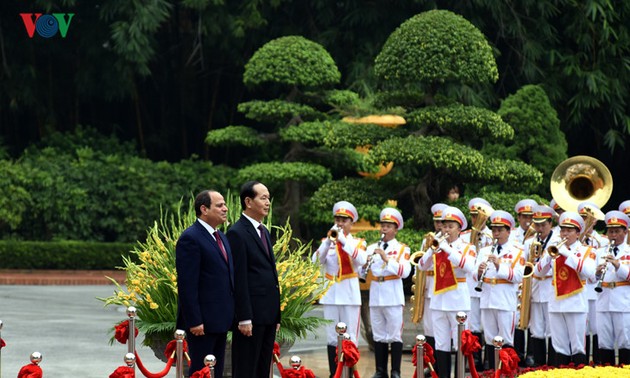Вьетнам и Египет договорились активизировать взаимовыгодное сотрудничество