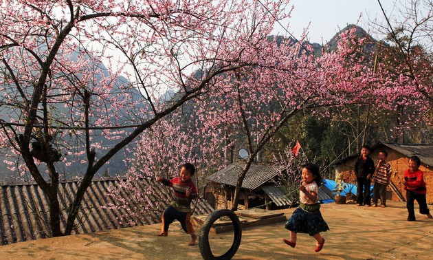 На северо-запад Вьетнама пришла ранняя весна