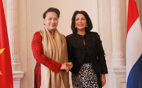 Дружба и сотрудничество между Вьетнамом и Нидерландами благотворно развиваются