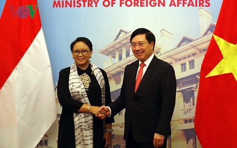 За углубление и всестороннее развитие стратегического партнерства между Вьетнамом и Индонезией