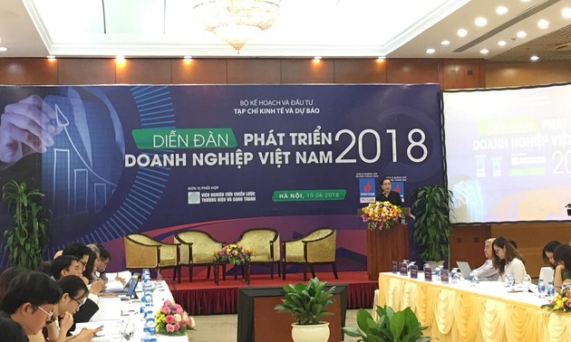 Появляются многие яркие точки на панораме бизнес-сообщества Вьетнама