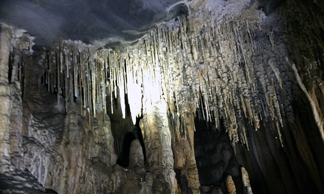 В провинции Куангбинь представлен новый туристский продукт «путешествие по пещерам Вом и Зиенгвоок»