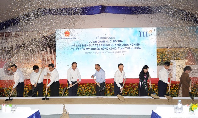 Премьер Вьетнама дал старт проекту разведения молочных коров в провинции Тханьхоа