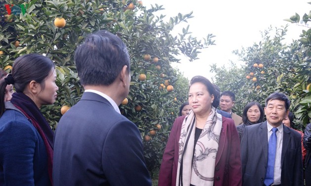 Нгуен Тхи Ким Нган совершила рабочую поездку в уезд Каофонг провинции Хоабинь