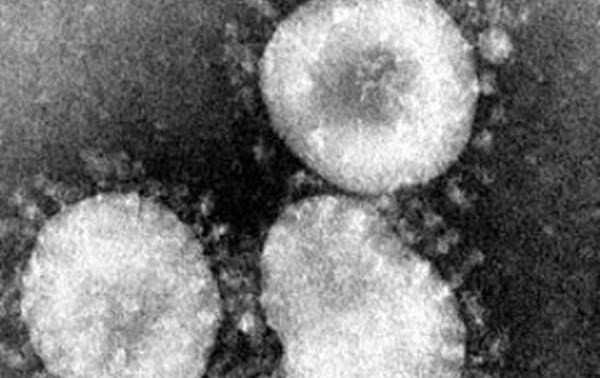 В Африке выявлен первый случай заражения коронавирусом