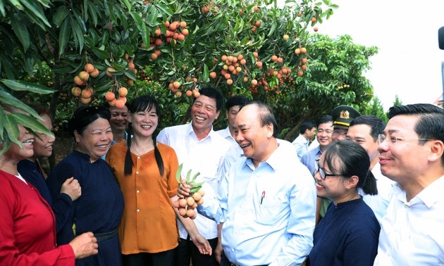 Премьер Вьетнама принял участие в церемонии экспорта личи на крупные рынки