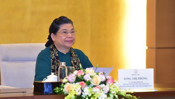АИПА демонстрирует позиции и роль вьетнамской дипломатии