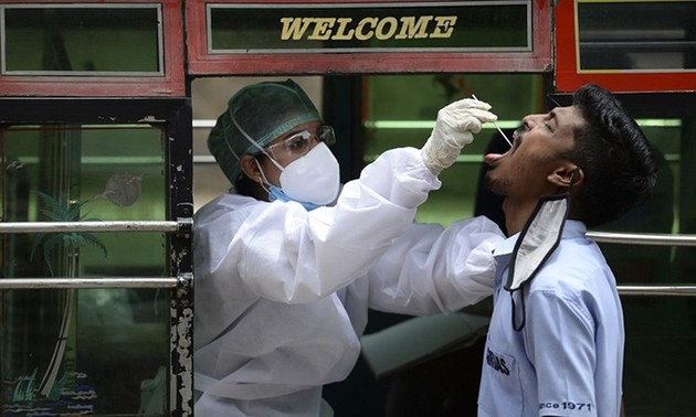 Почти 29 млн человек в мире заразились коронавирусом нового типа