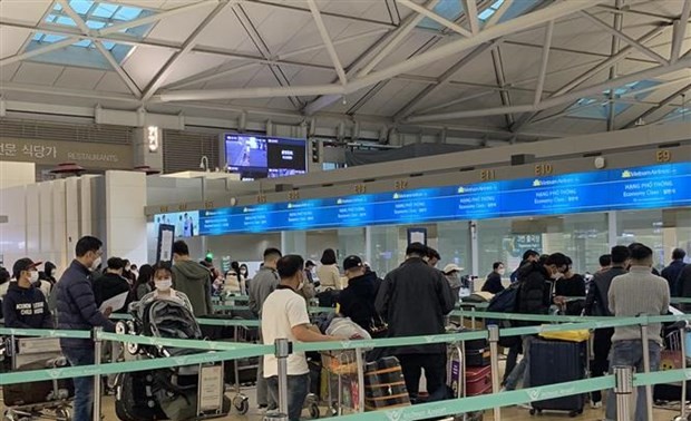 450 Vietnamese citizens repatriated from South Korea