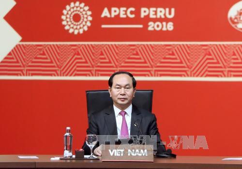 Tran Dai Quang à la clôture du 24ème sommet de l’APEC 