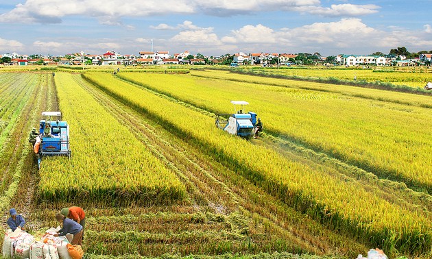 Agriculture : Quelles solutions pour 2017 ?