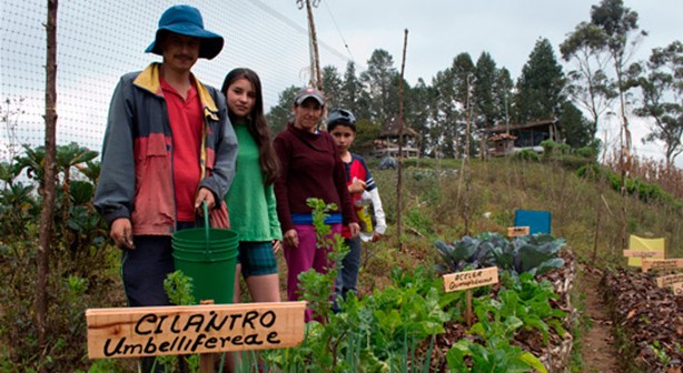 Amérique latine et Caraïbes: première région en développement susceptible d’éradiquer la faim