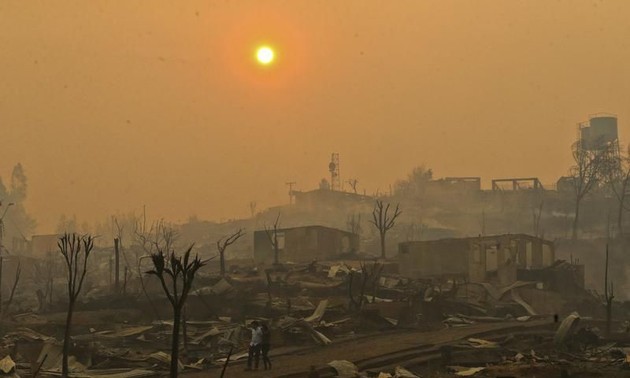 Le Chili ravagé par les pires feux de forêt de son histoire