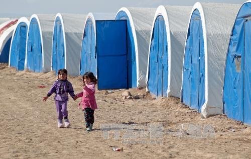 Le Canada ouvre ses portes aux réfugiés yézidis d’Irak