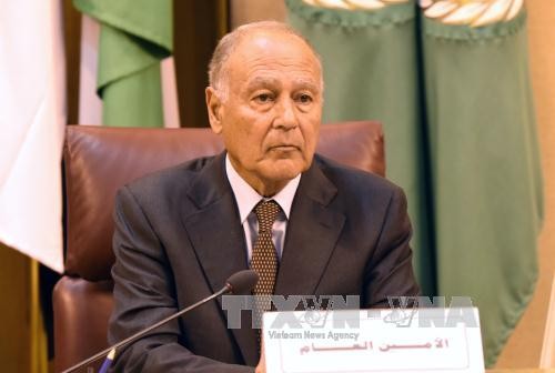 Le chef de la Ligue arabe appelle à agir