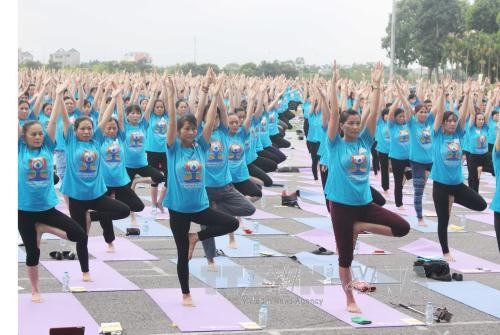 Journée internationale du yoga à Vinh Phuc : 1000 participants