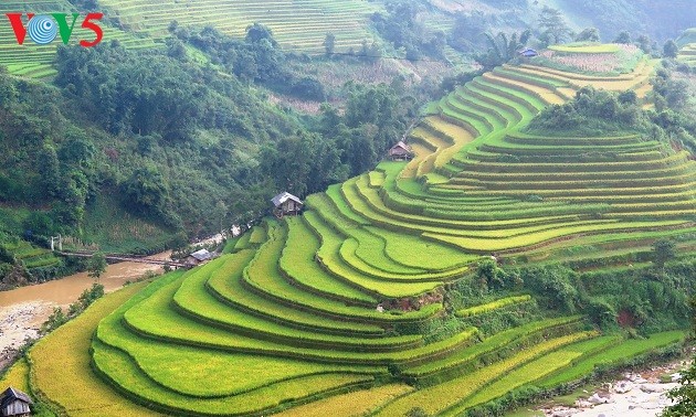 Bientôt la Semaine culturelle et touristique des rizières en terrasses de Mu Cang Chai