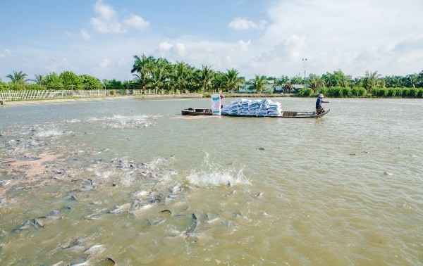 Le Vietnam devrait porter à 9 milliards de dollars ses exportations de produits aquatiques