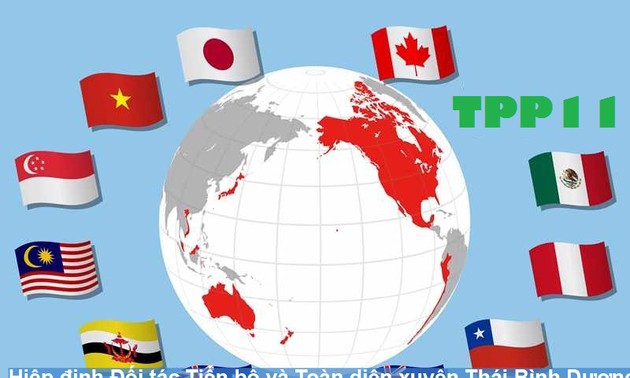 Asie-Pacifique: vers un accord de libre-échange sans les Etats-Unis