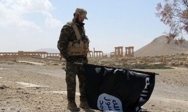 L'Afrique du Nord s’inquiète du retour des combattants de Daesh