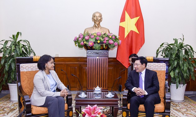 Pham Binh Minh reçoit une responsable marocaine