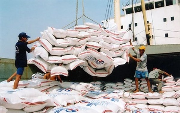 Le CPTPP devrait augmenter les exportations de riz vietnamien