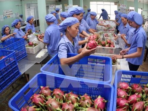 Pour que les produits agricoles vietnamiens trouvent leur place sur le marché sud-coréen