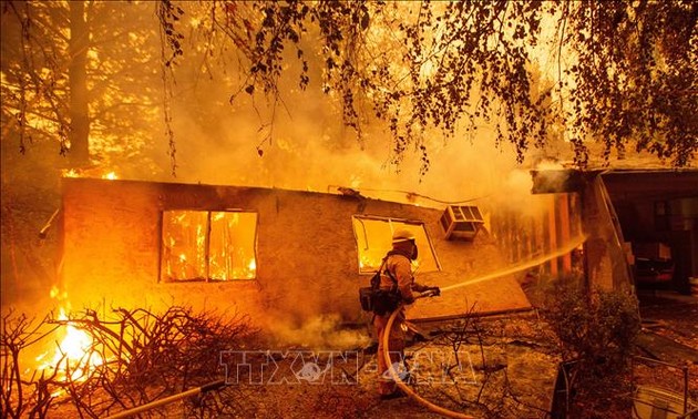 Etats-Unis : le bilan des incendies en Californie s'alourdit à au moins 59 morts