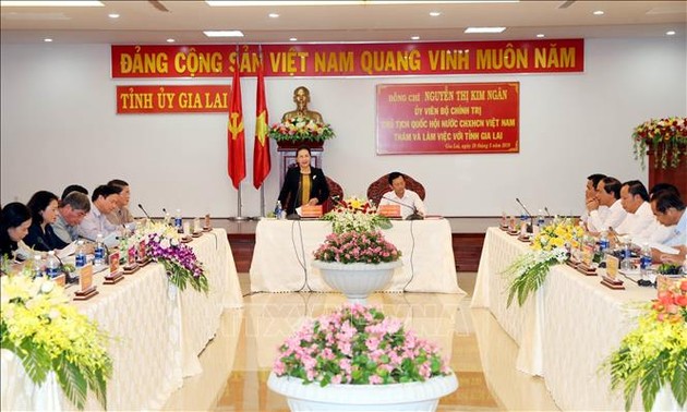 La présidente de l’Assemblée nationale travaille avec les dirigeants de Gia Lai