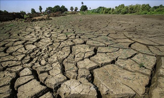 L'ONU met en garde contre l'aggravation de la sécheresse dans la Corne de l'Afrique