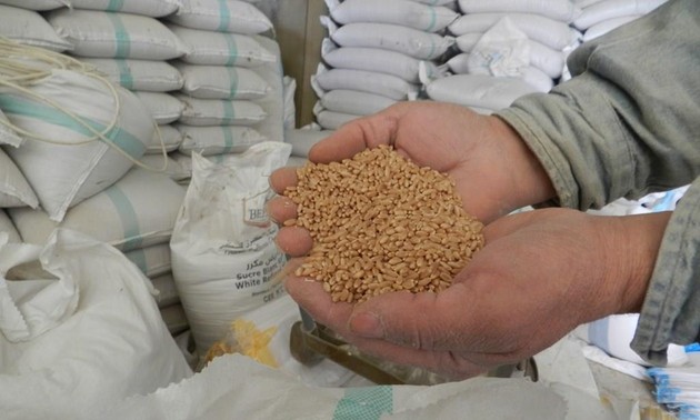 La FAO et le PAM mettent en garde contre une crise alimentaire généralisée imminente