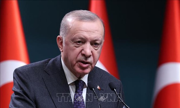 Otan: Erdogan avertit qu'il pourra toujours bloquer la Suède et la Finlande