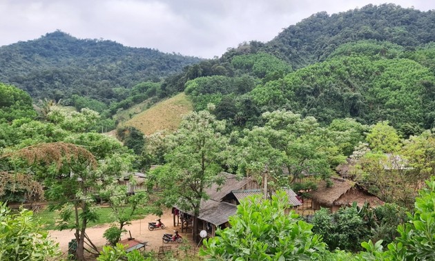 Quang Binh s’emploie à développer ses zones montagneuses