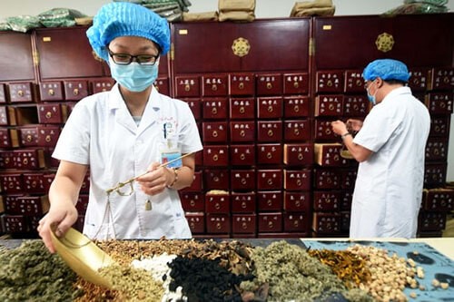 Vietnam-Japon: intensifier la coopération dans la médecine traditionnelle