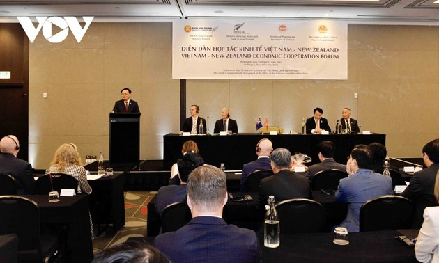 Forum de coopération économique Vietnam – Nouvelle-Zélande