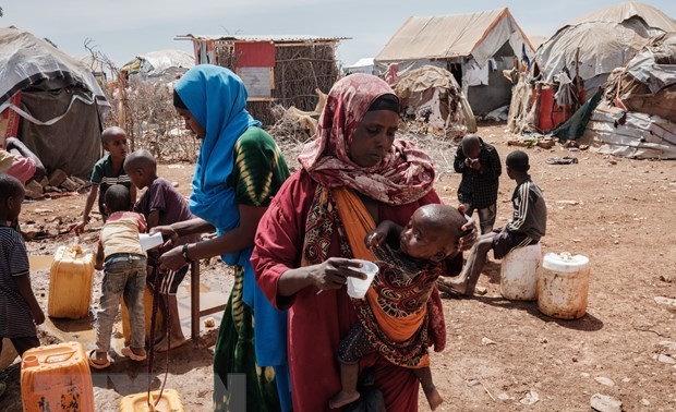 ONU: 8,3 millions de personnes ont besoin d'une aide humanitaire en Somalie