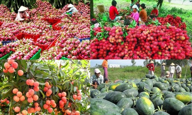 Vietnam-Chine: Promotion des échanges agricoles