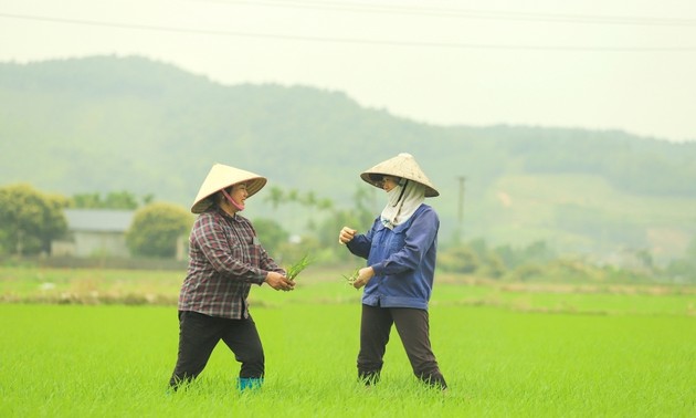 Des paysans heureux à Bình Khê 