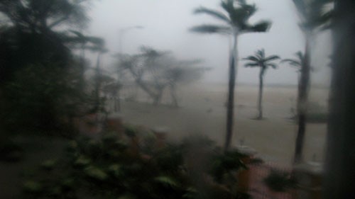 Bão số 11 (bão Nari) đổ bộ Đà Nẵng, gió giật đổ nhiều cây cối, nhà cửa 