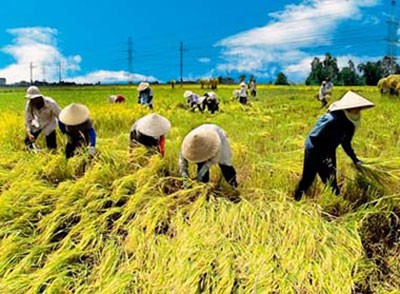 Việt Nam hưởng ứng Ngày Lương thực thế giới 