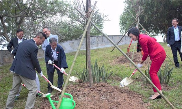 Hà Nội tiếp nhận, trồng 110 cây hoa Anh đào tại Công viên Hòa Bình