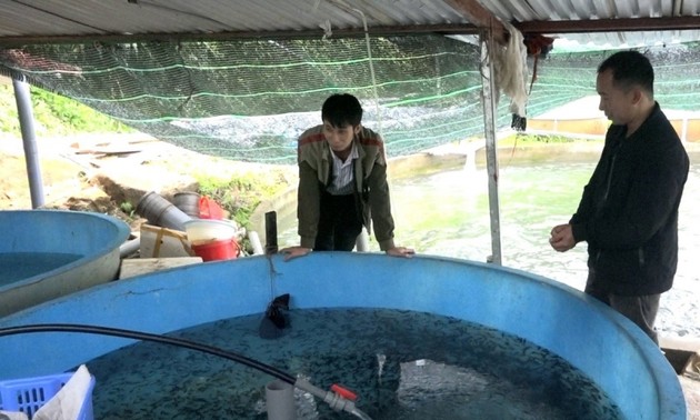 Phát triển nghề nuôi cá nước lạnh ở huyện Tam Đường, Lai Châu