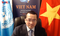 Vietnam Pimpin Sidang Komisi DK PBB terkait Sudan Selatan
