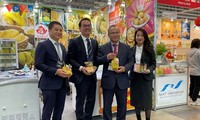 Foodex Japan 2022: Oportunidad de promoción de productos vietnamitas en el mercado japonés