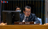 Vietnam pide paz y estabilidad en los Altos del Golán y Malí
