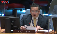 Vietnam llama a resolver desafíos de seguridad en República Centroafricana y Siria